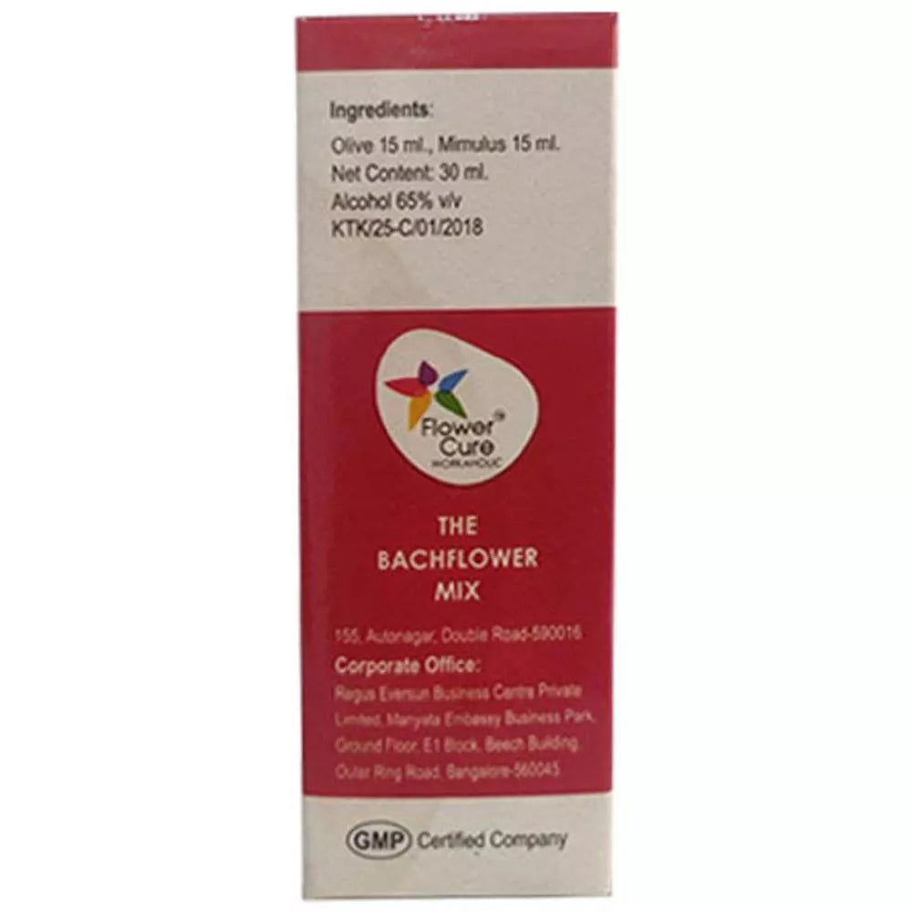Bach Flower Mix Workaholic
