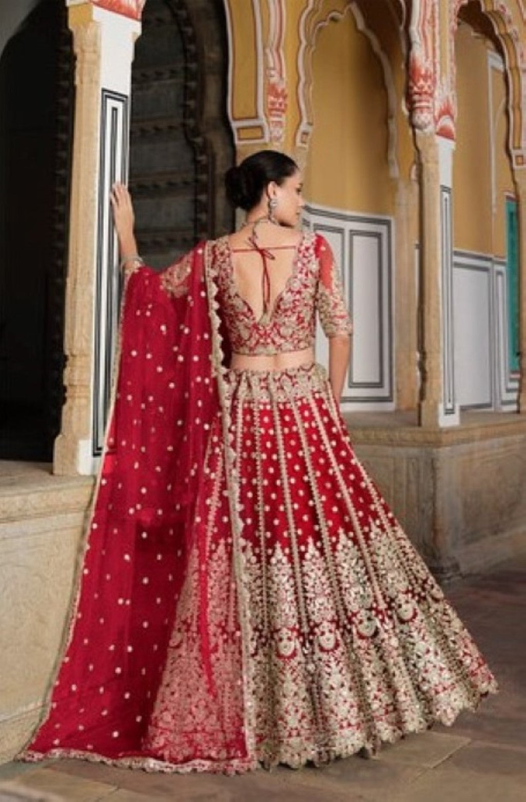 Anaita Red Net Lehenga Choli With Stone Embroidery Work