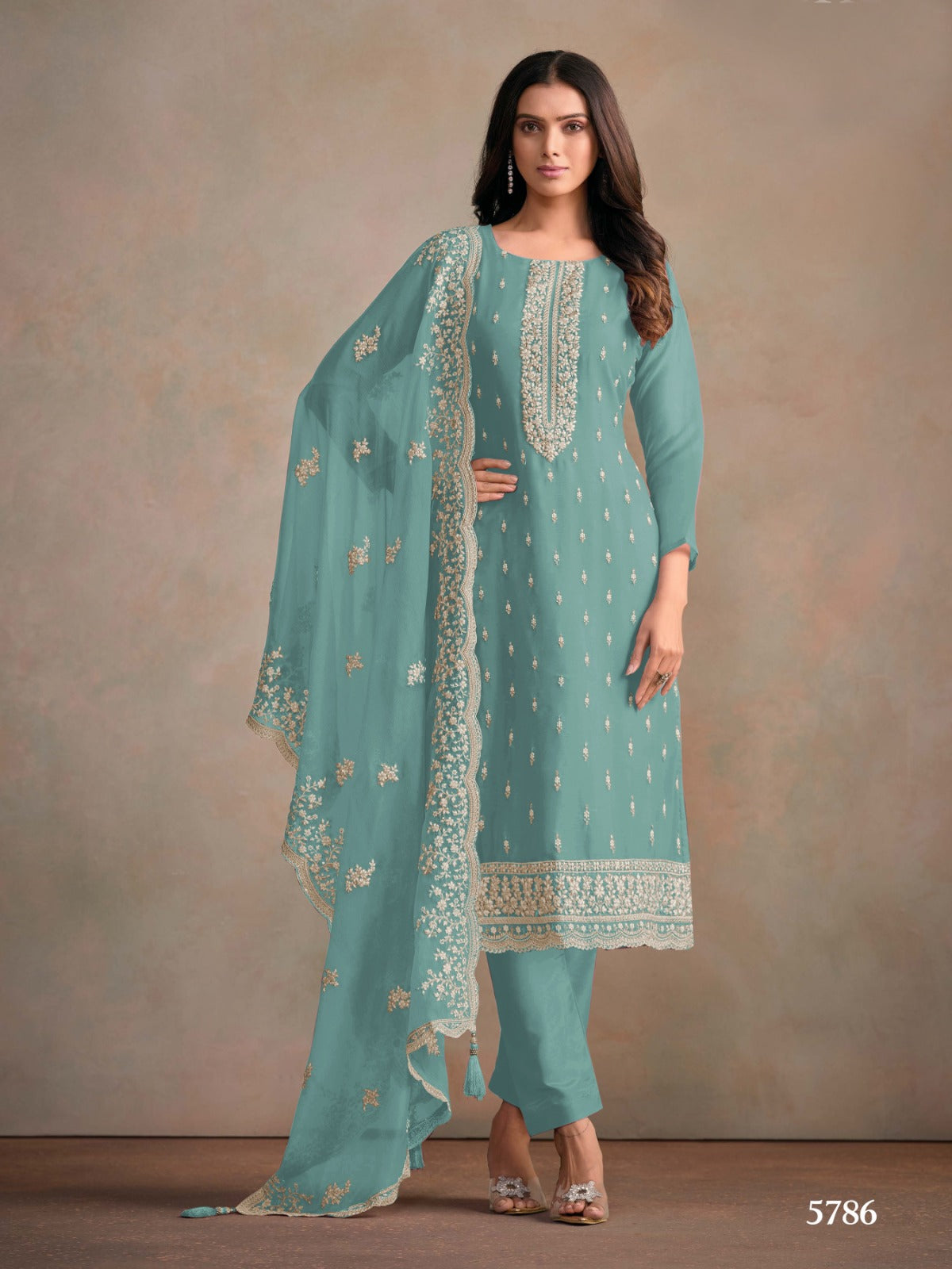 Anaita Light Blue Heavy Organza With Embroidery Straight Salwar Suit