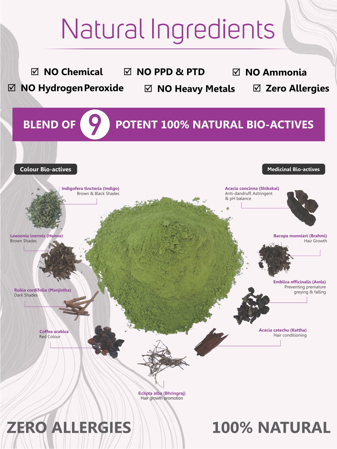 Vegetal Bio Hair Colour - Soft Black - 50 gms
