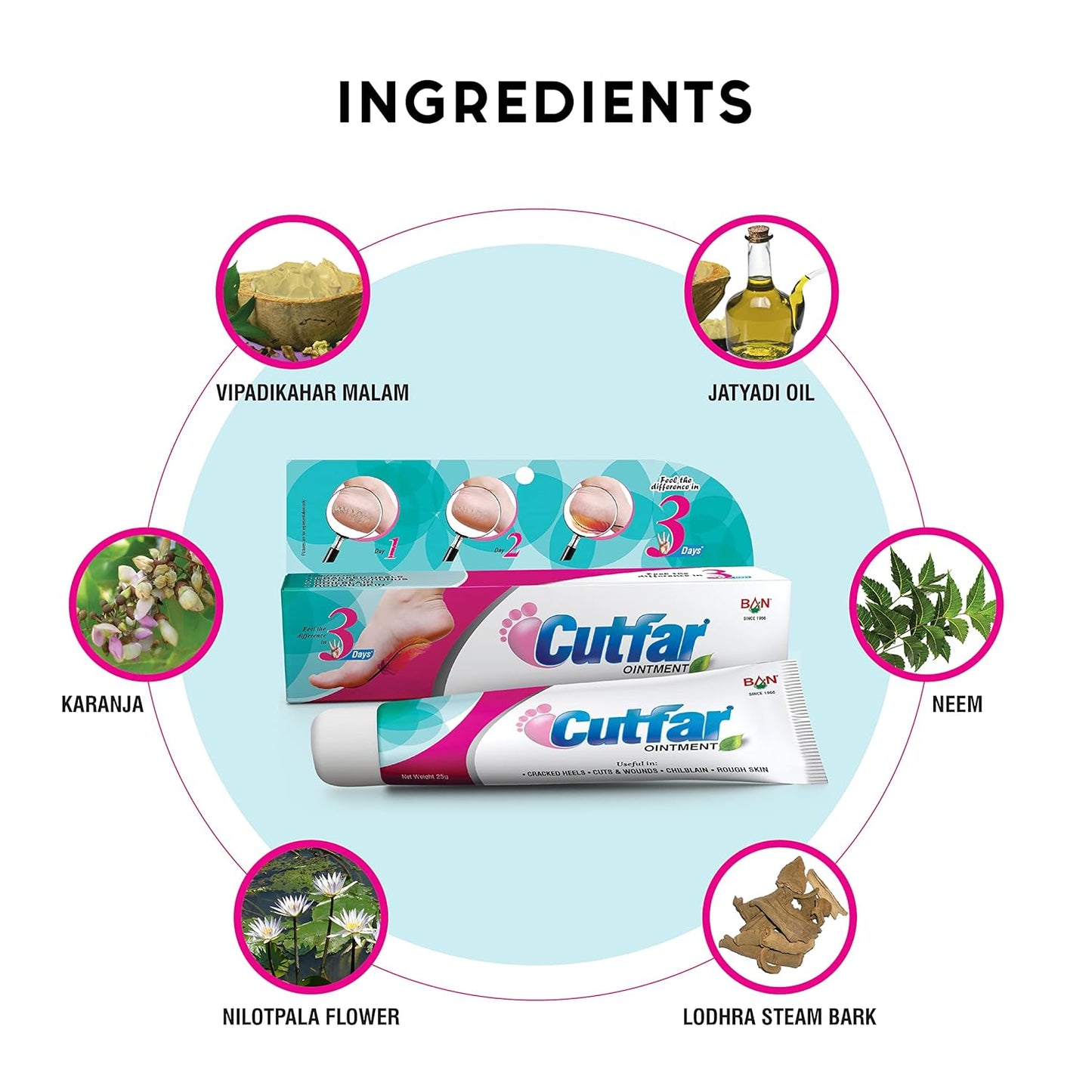 Ban Labs Cutfar Ointment Pack of 2 - 25 gms