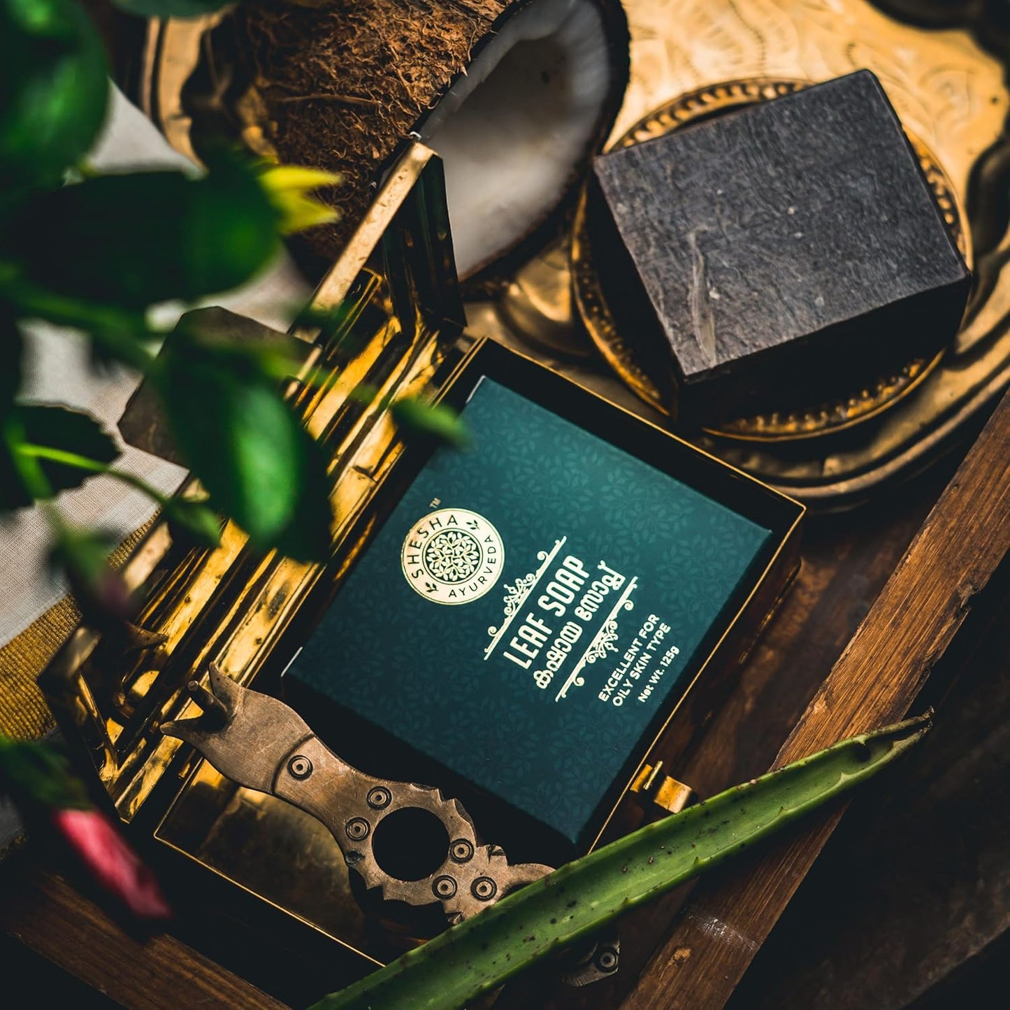 Shesha Naturals Ayurveda Leaf Soap - 125 gms