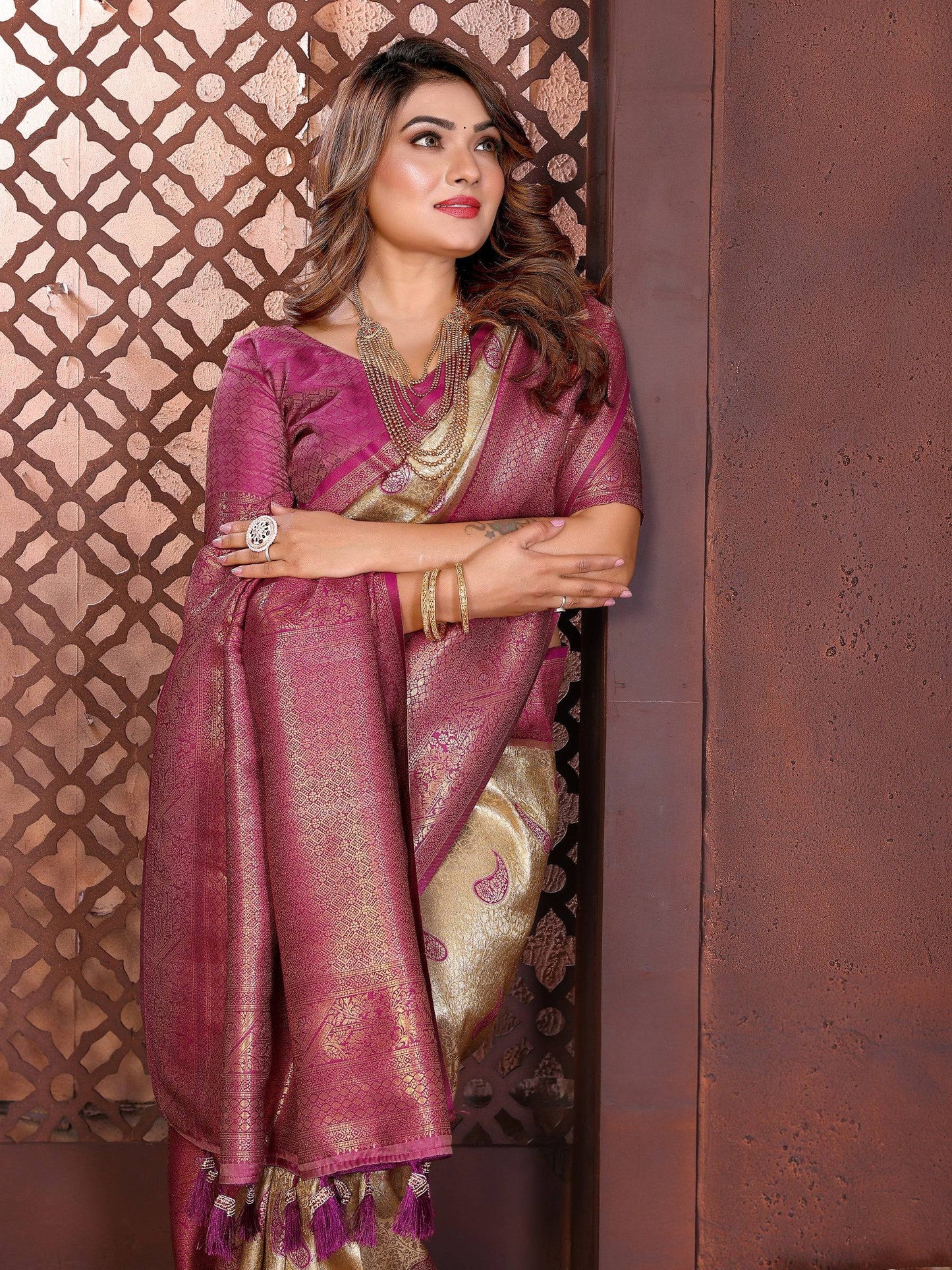 Anaita Banarasi Tissue Silk Saree