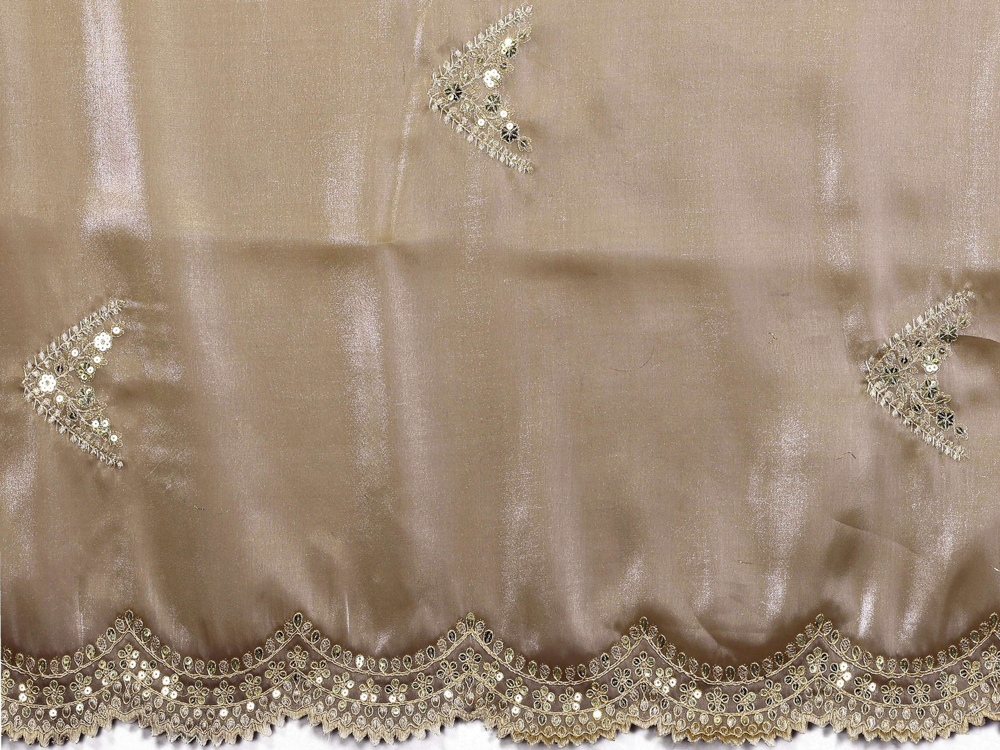 Vastranavya Beige Embroidery Work Shimmer Chiffon Saree with Unstitched Blouse