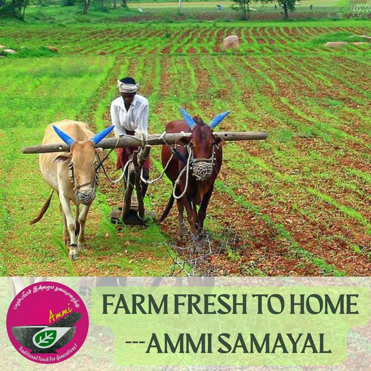 Ammi Samayal Unrefined Castor Oil