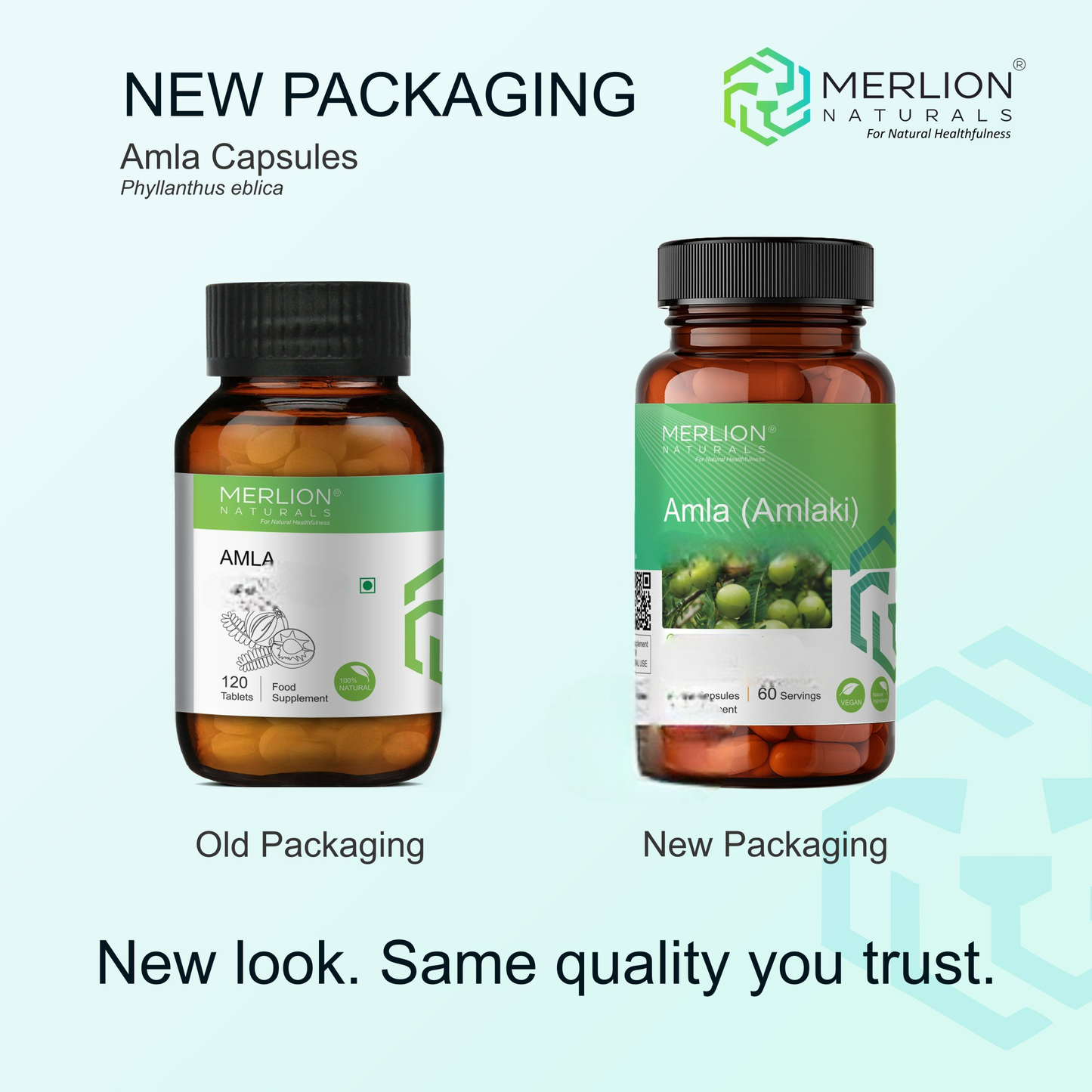 Merlion Naturals Amla 600mg Capsules