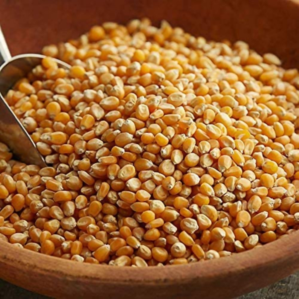 FreshoCartz Popcorn Kernel Seeds