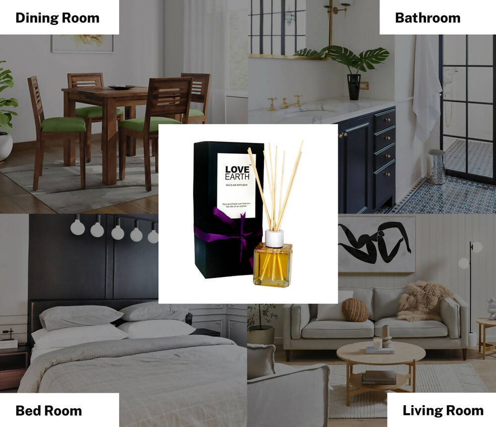 Love Earth Reed Diffuser- Orange
