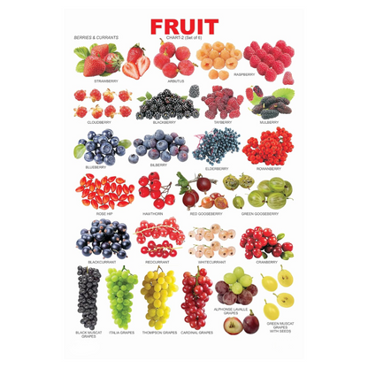 Dreamland Publications Educational Chart for Kids - Fruit Chart - 2