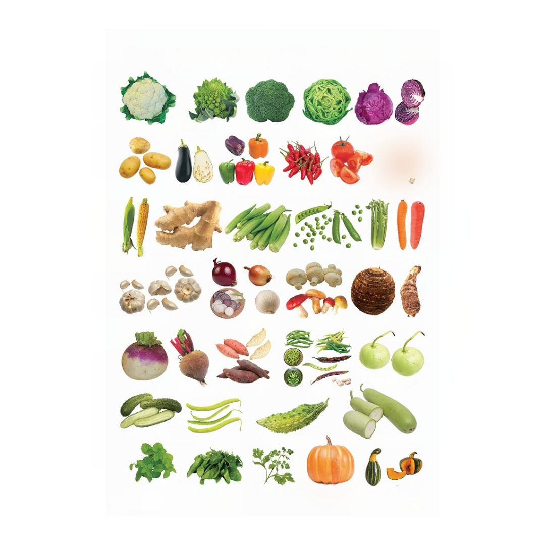 Dreamland Publications Educational Chart for Kids - Vegetables