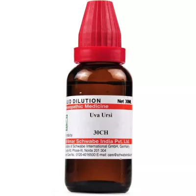 Dr. Willmar Schwabe India Uva Ursi Dilution