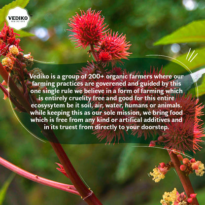 Vediko Origins Castor Oil