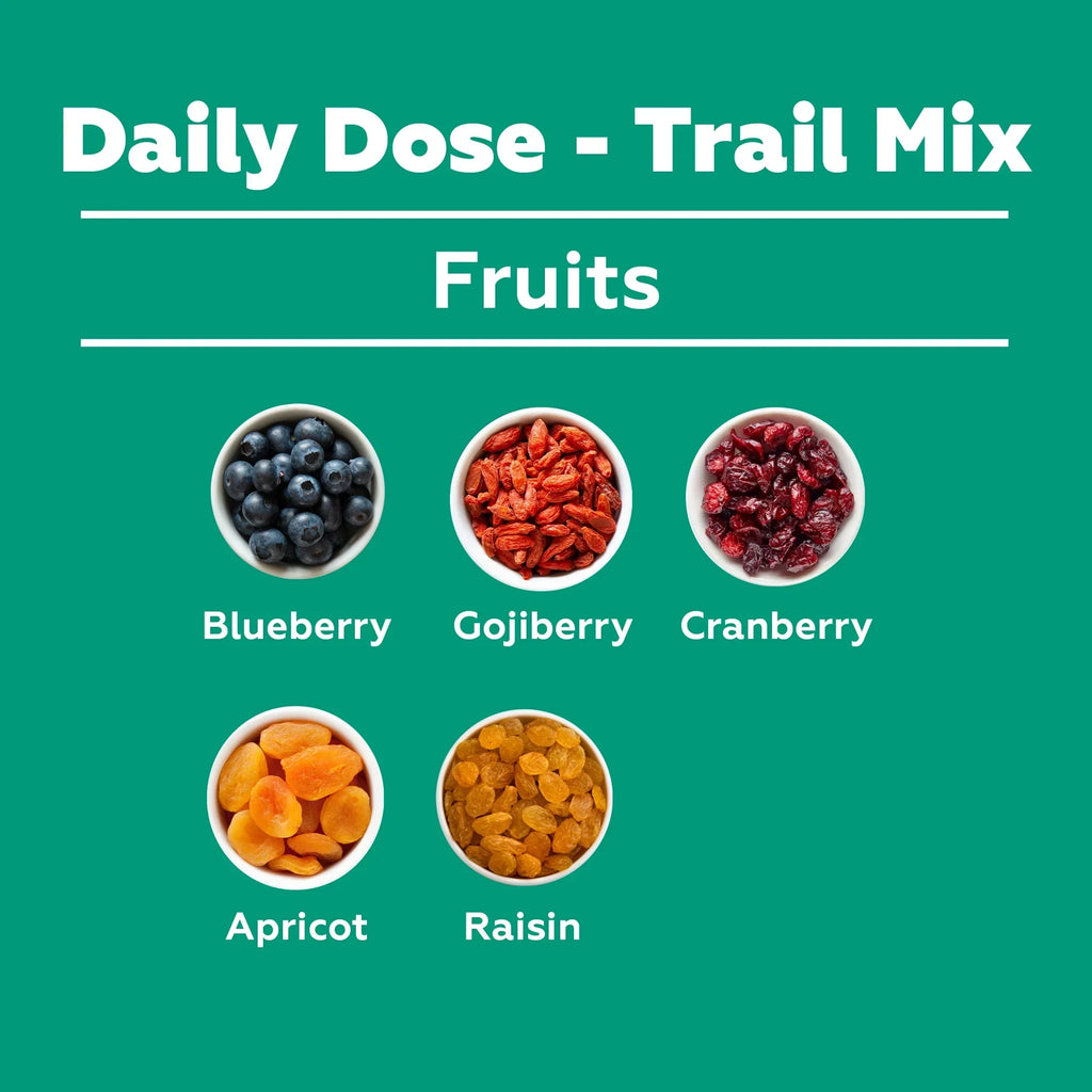 Yogabar Daily Dose Trail Mix - 325 gms