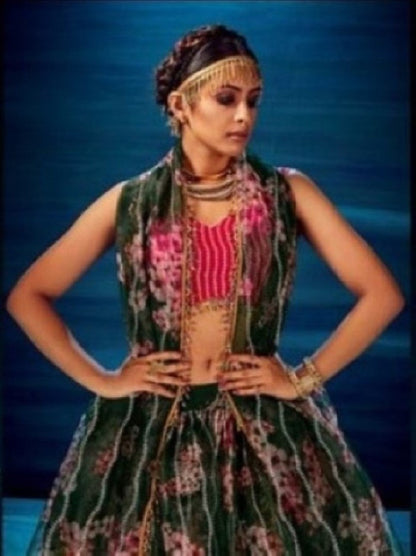 Anaita Dark-Green Organza Lehenga Choli With Sequence & Thread Work