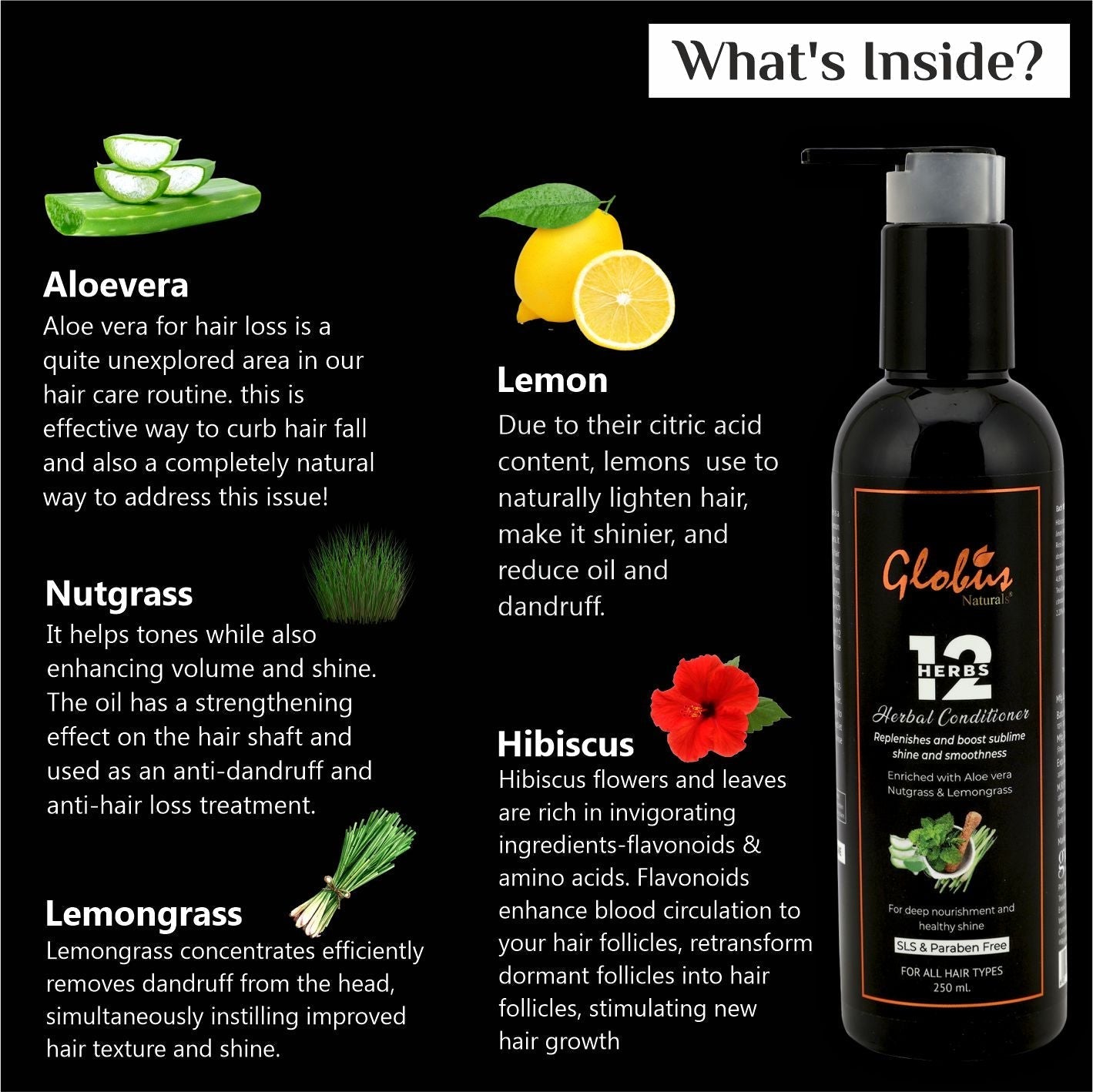 Globus Naturals 12 Herbs Hair Growth Conditioner For Deep Nourishment - 250 ml