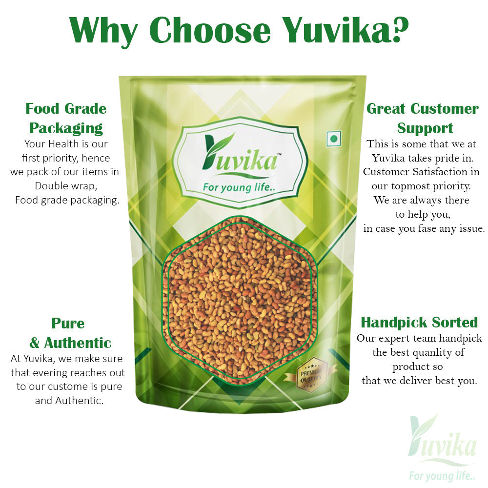Yuvika Alfa Seeds - Alfalfa Seeds