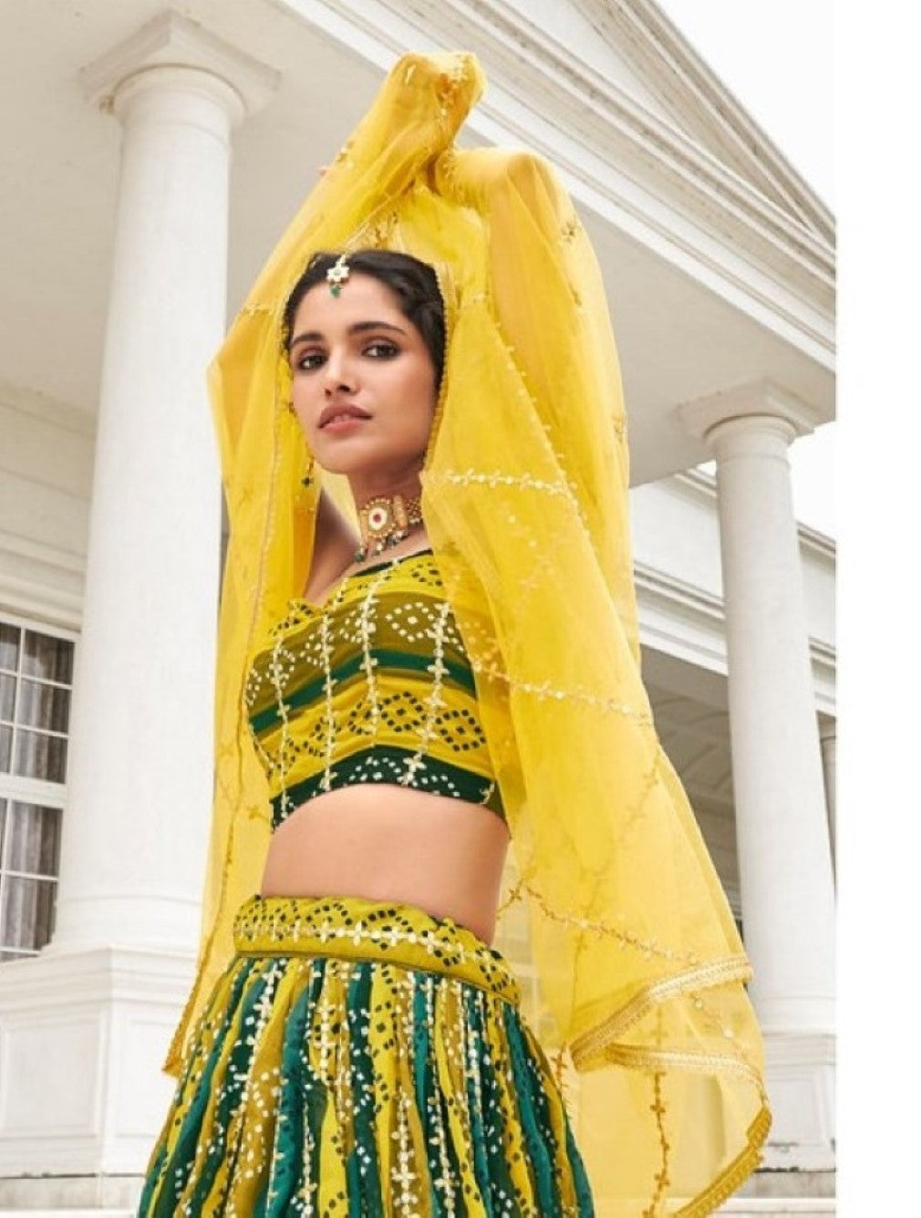 Anaita Multicolor Georgette Lehenga Choli With Sequence & Thread Work