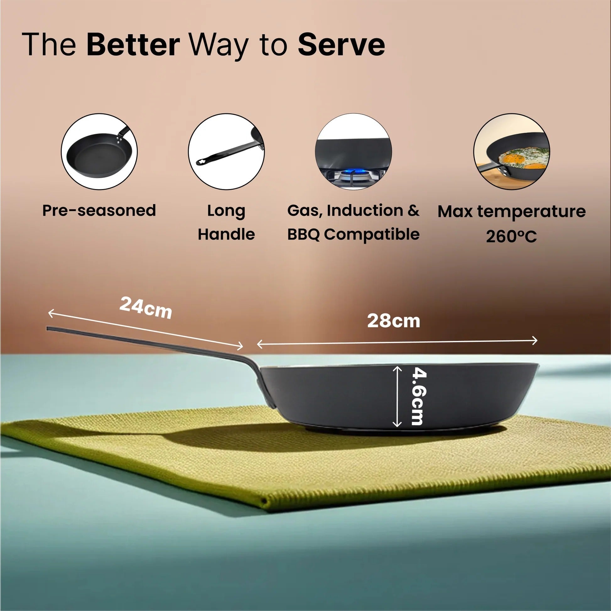UMAI Carbon Steel Pan 28cm Pre-Seasoned Non-Stick Gas Induction Omelette Fish Fry Black