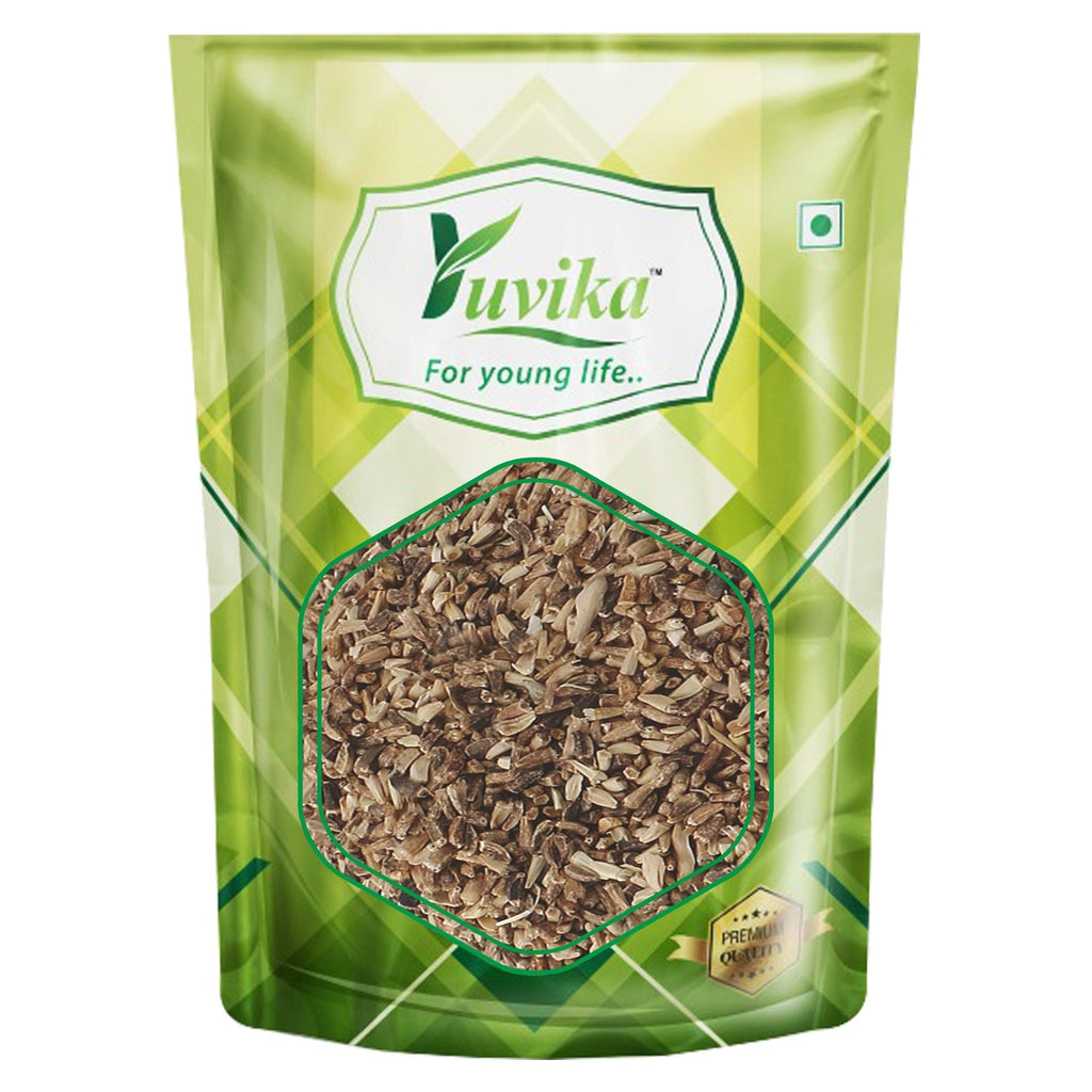 Yuvika Kasni Seeds - Cichorium Intybus - Endive - Chicory