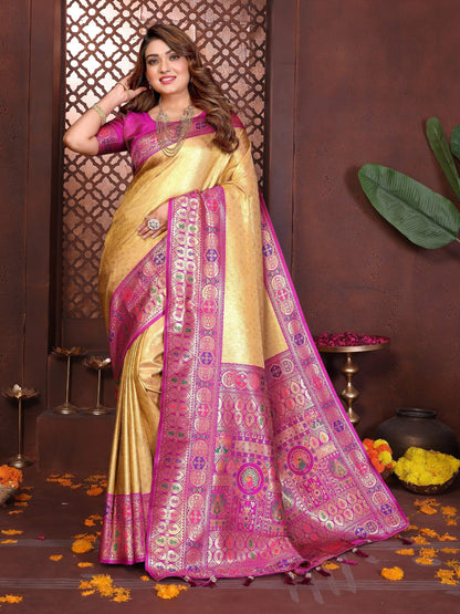 Anaita Banarasi Tissue Silk Saree