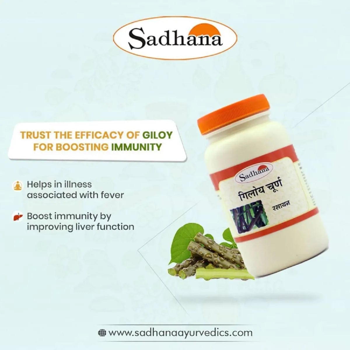 Sadhana Giloy Powder