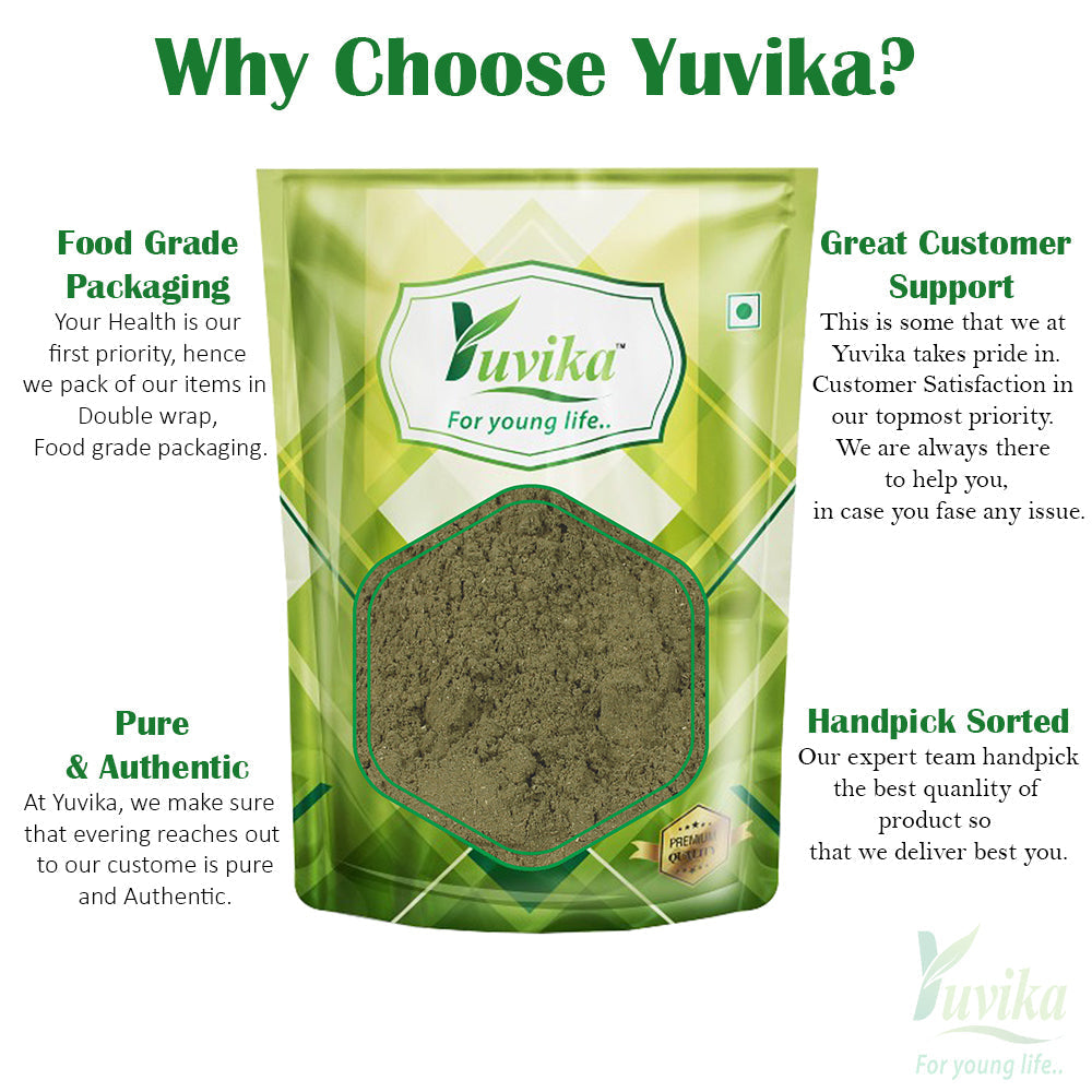 Yuvika Podina Powder - Pudina - Mentha Arvensis Linn - Mint Leaves