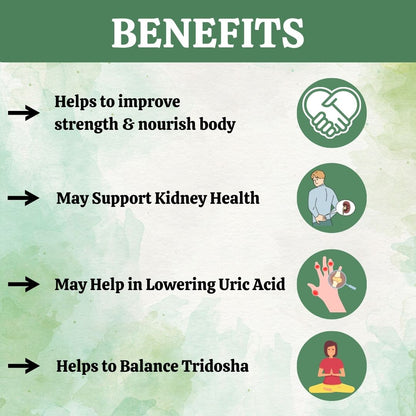 Herbal Hills Ayurveda Gokshur Powder