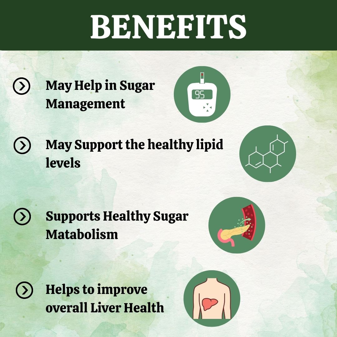 Herbal Hills Gurmar Powder