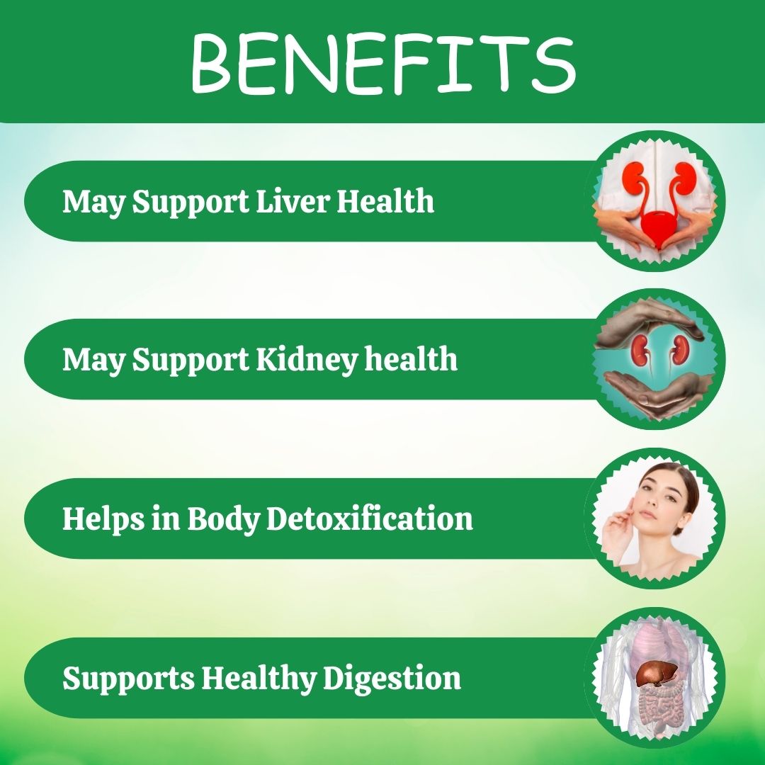 Herbal Hills Ayurveda Punarnava Powder