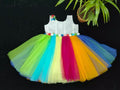 Heavy Net Multi Color Dress