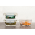 Femora Borosilicate Glass Containers for Kitchen | Storage Box for Kitchen With Air Vent Lid, Microwave Safe | Set of 3 | 140 Ml