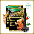 Zandu Vigorex Shilajit Gold Capsules - 12 Caps (Pack of 2)