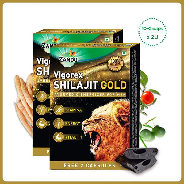 Zandu Vigorex Shilajit Gold Capsules - 12 Caps (Pack of 2)