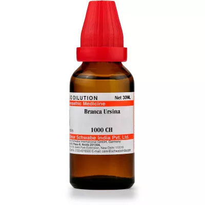 Dr. Willmar Schwabe India Branca Ursina Dilution