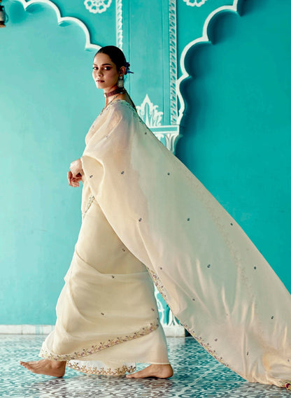 Anaita Beige Embroidery Work Saree With Jacquard Work Blouse Piece