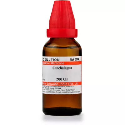 Dr. Willmar Schwabe India Canchalagua Dilution