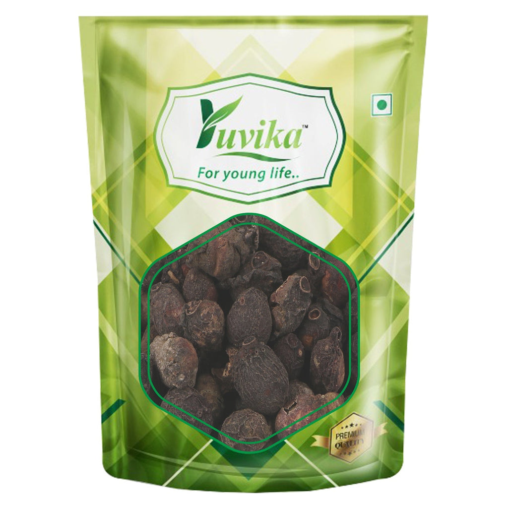 Yuvika Jamun Guthli - Syzygium Cumini - Eugenia Jambolana Seeds - Blackberry Seeds