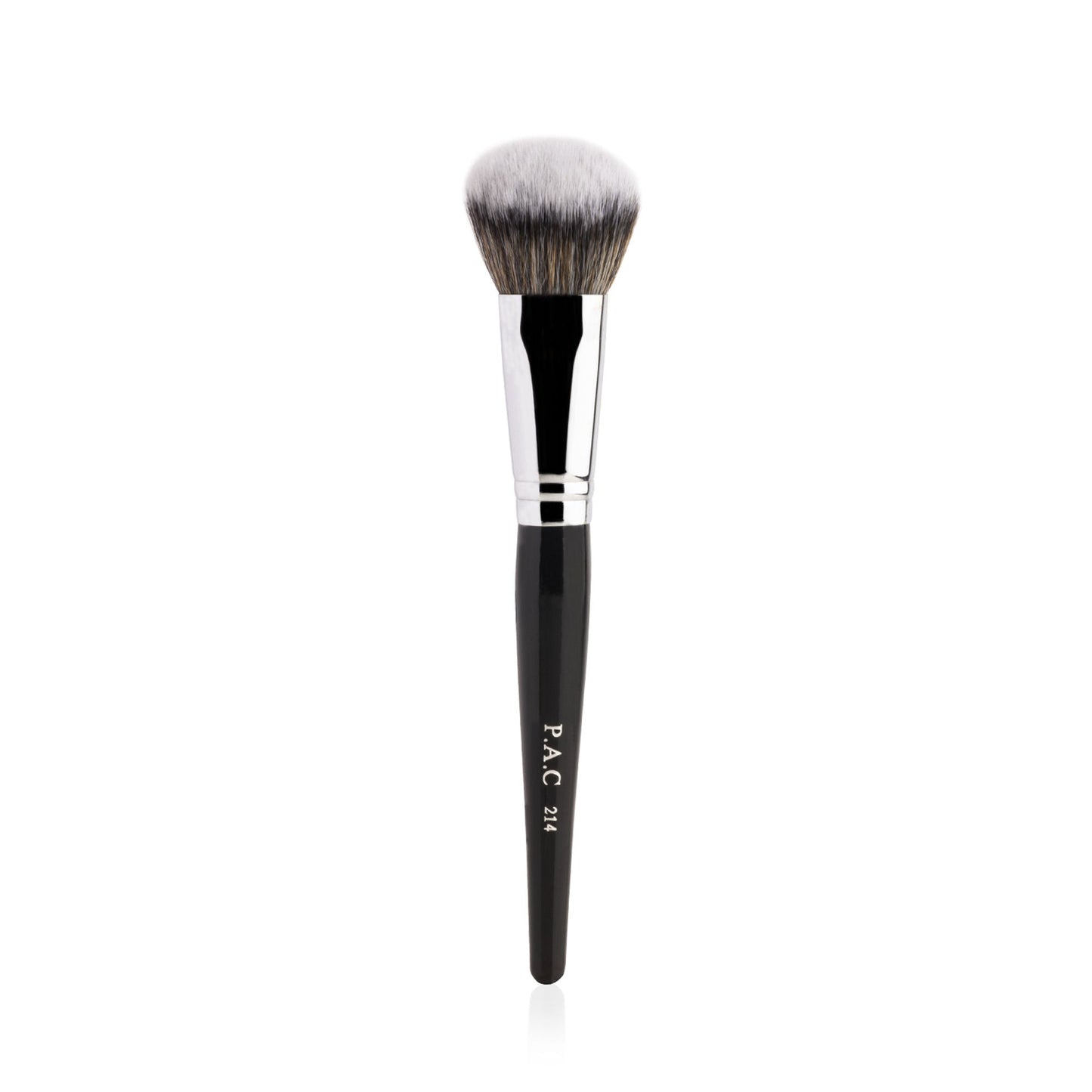 PAC Studio Spotlight Blush and Brush Combo