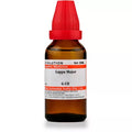 Dr. Willmar Schwabe India Lappa Major Dilution