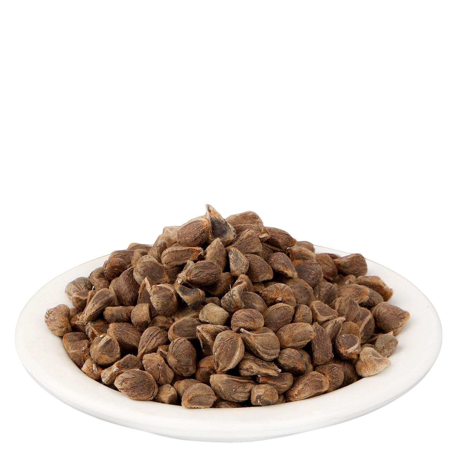 Yuvika Beej Bidhara Asli - Vidhara Seeds - Vruddhadaru - 50 gms