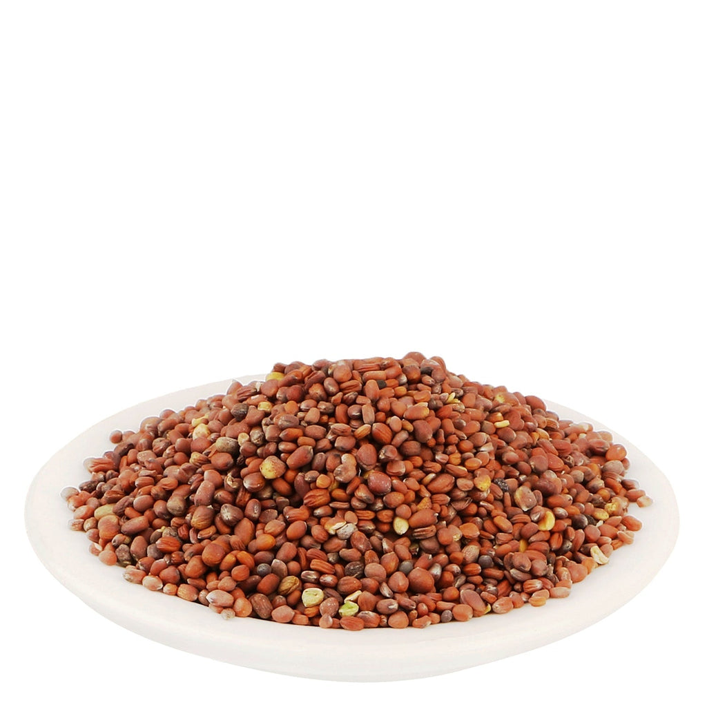 Yuvika Beej Mooli - Raphanus Sativus - Radish Seeds (Not for Sowing Purpose)