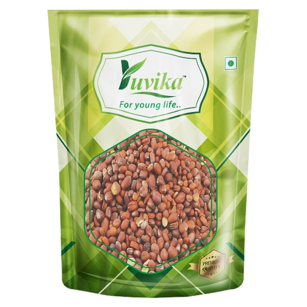 Yuvika Beej Mooli - Raphanus Sativus - Radish Seeds (Not for Sowing Purpose)