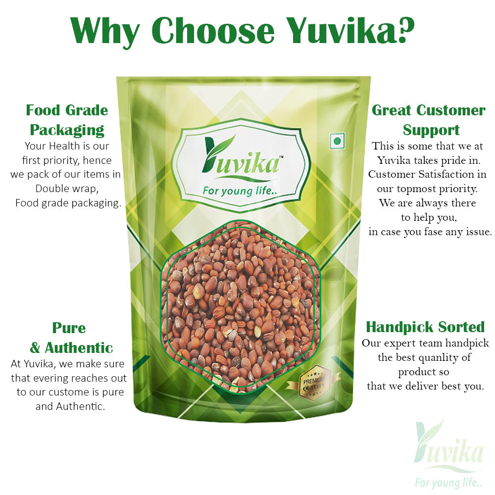 Yuvika Beej Mooli - Raphanus Sativus - Radish Seeds (Not for Sowing Purpose)