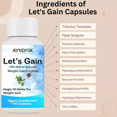 Ayudiva Herbal Supplement - 60 caps