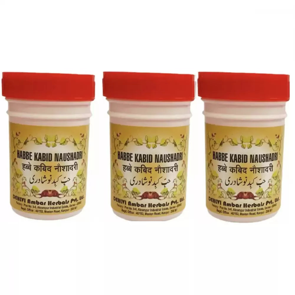 Dehlvi Ambar Habbe Kabid Naushadri - 40 Pills (Pack of 3)