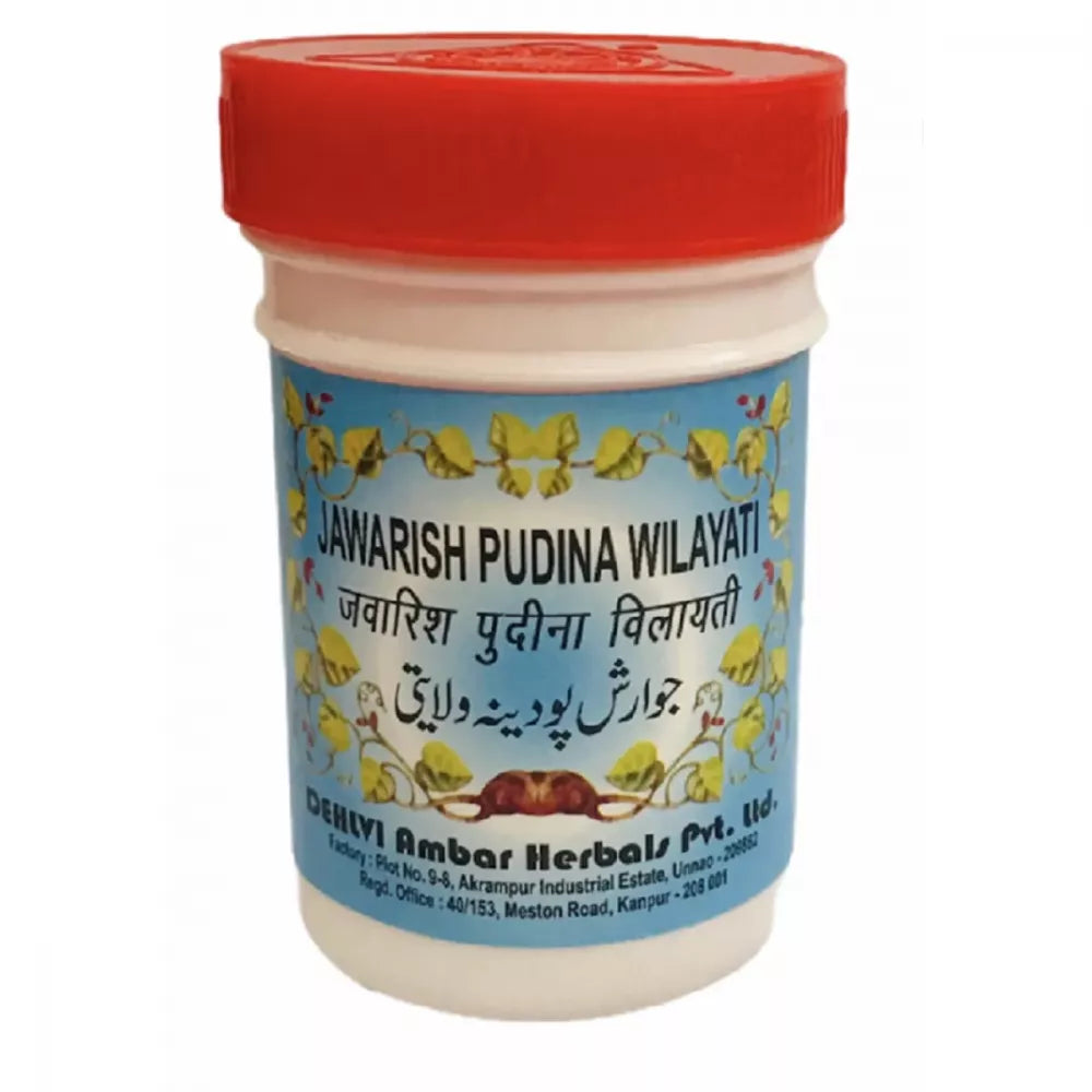 Dehlvi Ambar Jawarish Pudina Wilayti - 250 gms (Pack of 2)