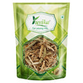 Yuvika Braham Dandi Brahm Dandi Barham Dandi Tricholepis Angustifolia