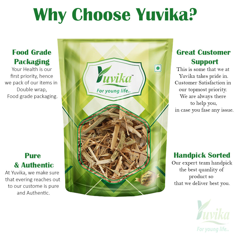 Yuvika Braham Dandi Brahm Dandi Barham Dandi Tricholepis Angustifolia