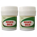 Dehlvi Kushta Qalai - 10 gms (Pack of 2)