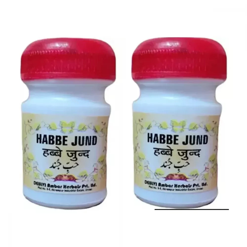 Dehlvi Ambar Habbe Jund - 10 Pills (Pack of 2)